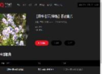 千千音乐